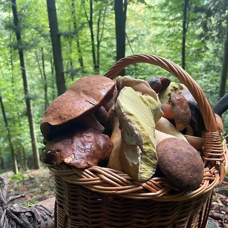 Eliska Гостевой дом 3*